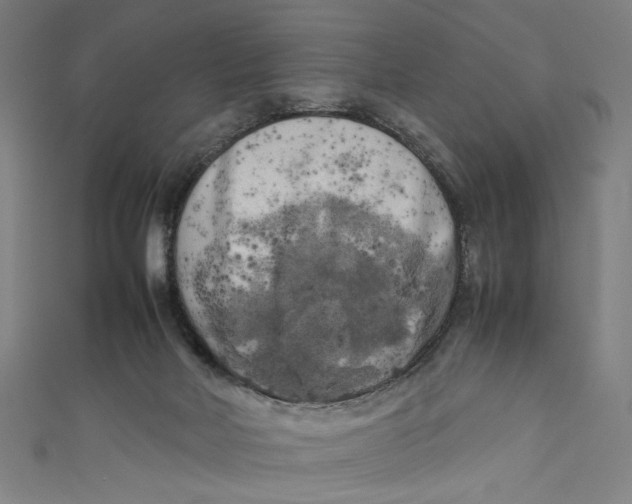 X0000111190026200907221118