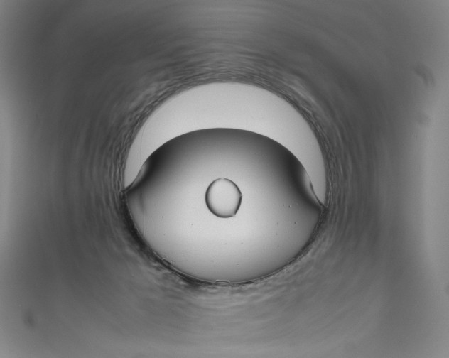 X0000111190029200907221118