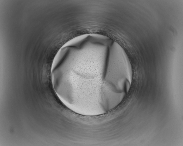 X0000111190030200907221118