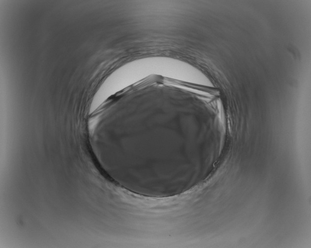 X0000111190035200907221118