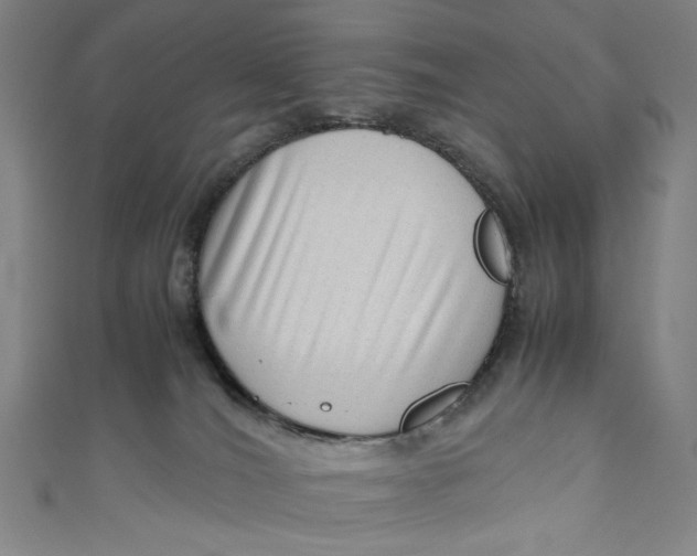 X0000111190036200907221118