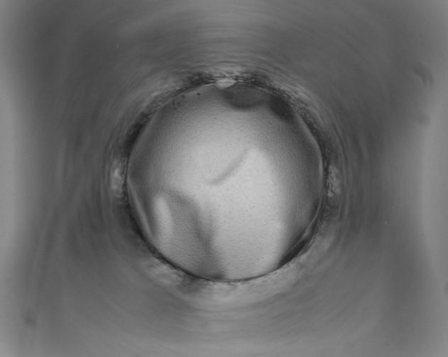 X0000111190037200907221118