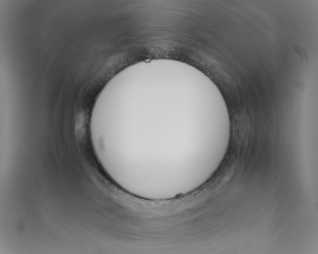 X0000111190038200907221118