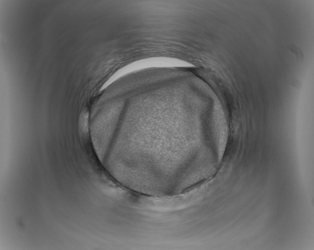 X0000111190041200907221118