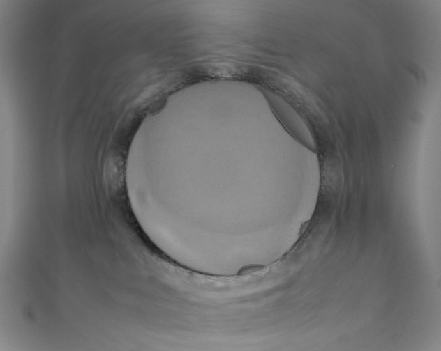 X0000111190043200907221118