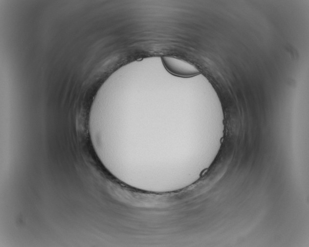 X0000111190044200907221118