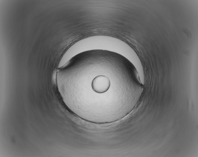 X0000111190047200907221118