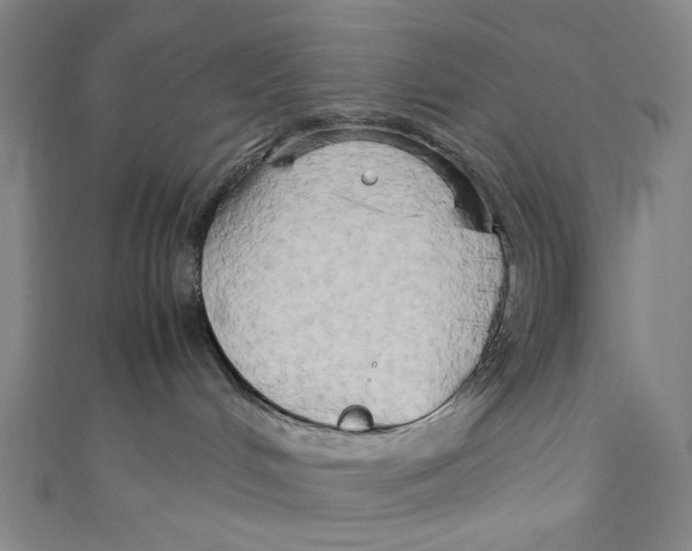 X0000111190048200907221118
