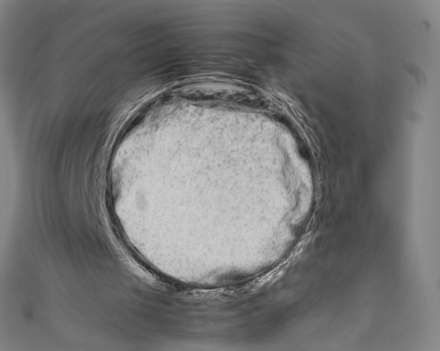 X0000111190049200907221118