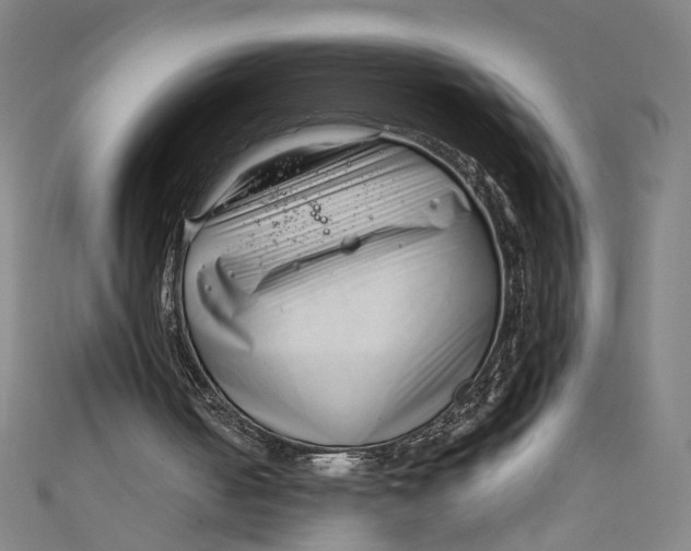 X0000111190050200907221118