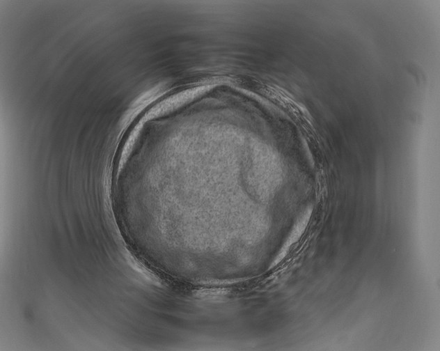 X0000111190051200907221118