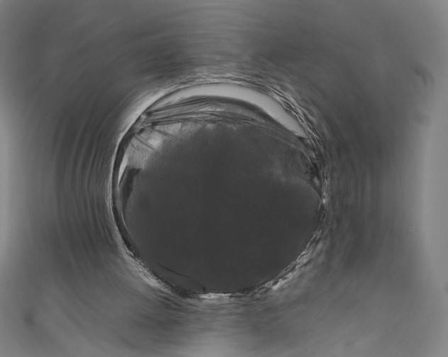 X0000111190052200907221118