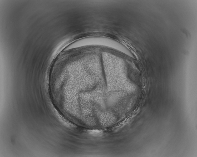 X0000111190053200907221118