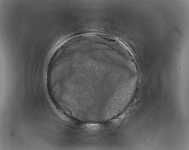 X0000111190055200907221118