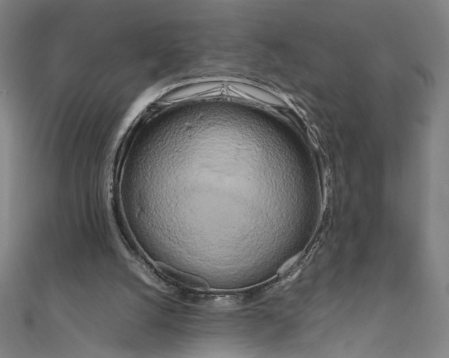 X0000111190056200907221118