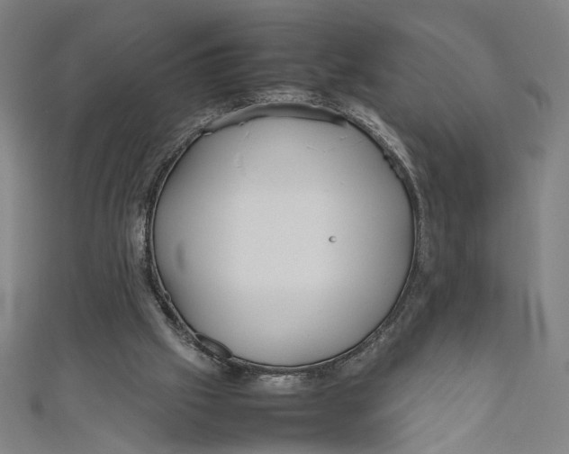 X0000111190057200907221118