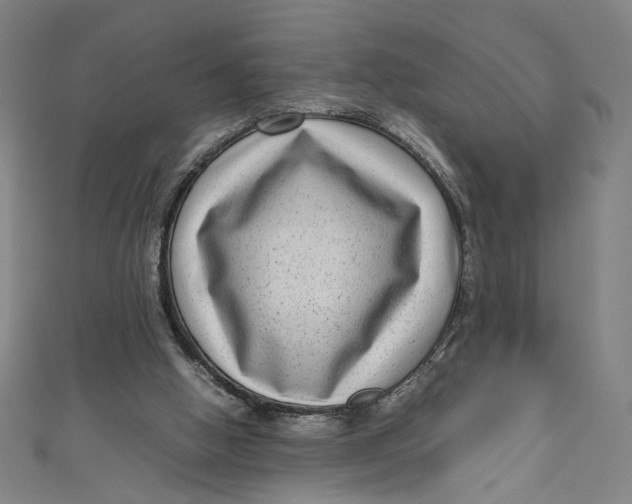 X0000111190058200907221118