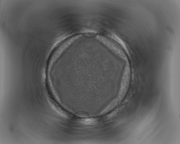 X0000111190059200907221118