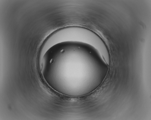 X0000111190060200907221118