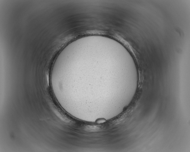 X0000111190061200907221118