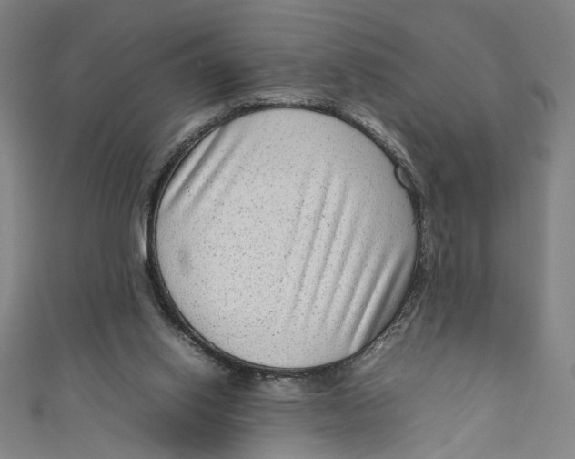 X0000111190062200907221118