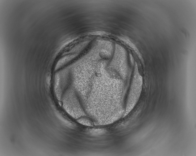 X0000111190063200907221118