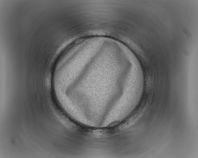 X0000111190064200907221118