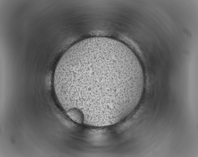 X0000111190065200907221118