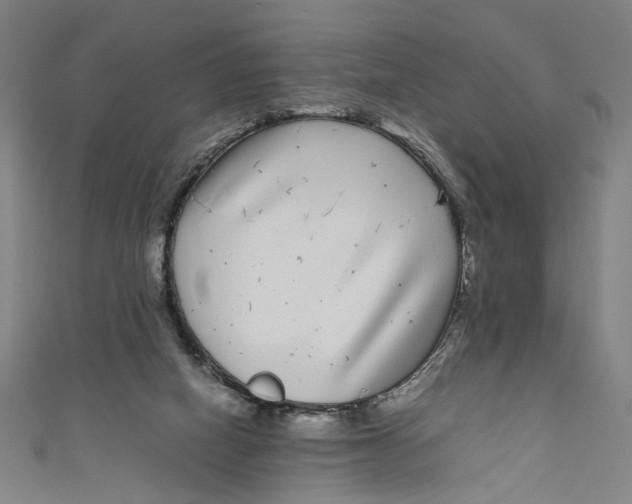 X0000111190066200907221118