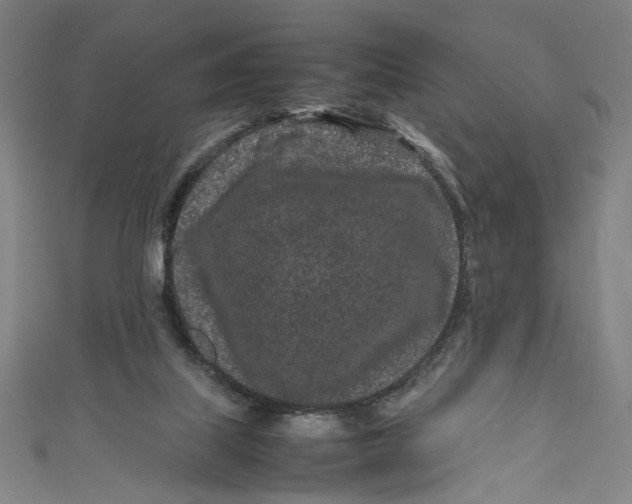 X0000111190067200907221118