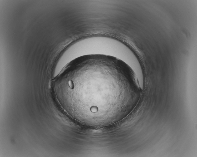 X0000111190068200907221118