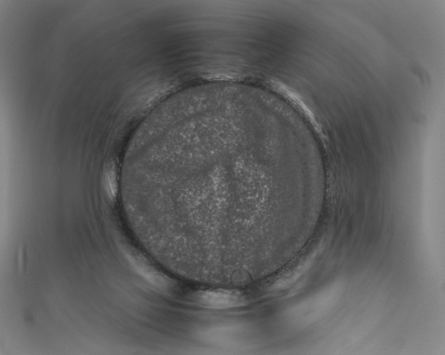 X0000111190069200907221118