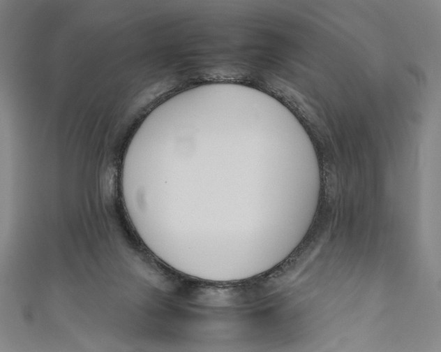 X0000111190071200907221118