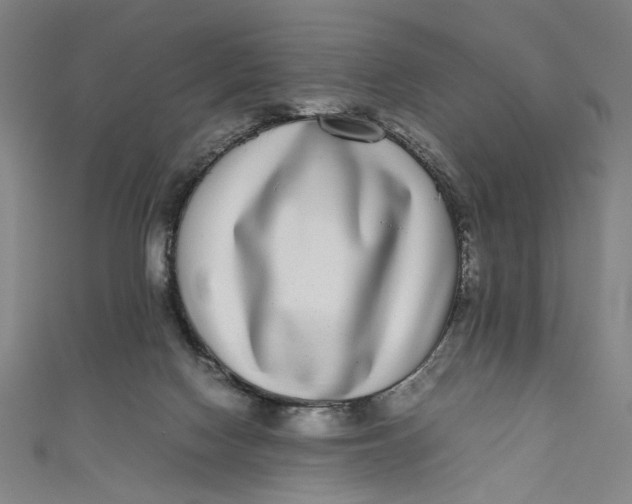 X0000111190074200907221118