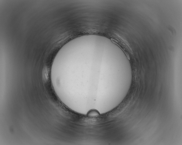 X0000111190075200907221118