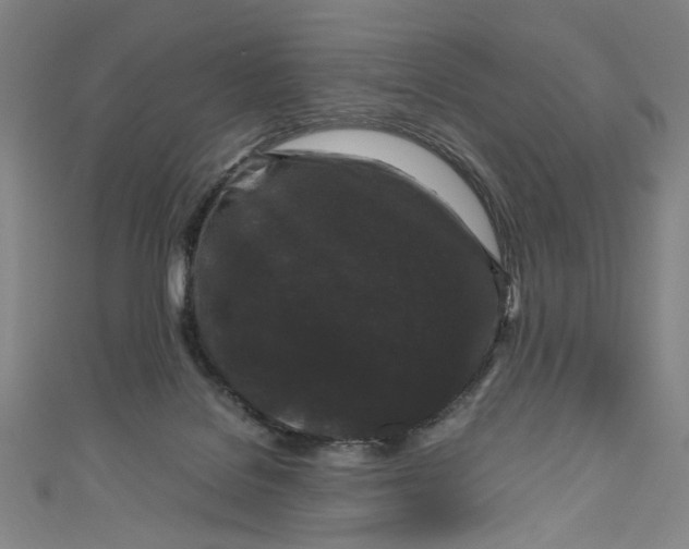 X0000111190076200907221118