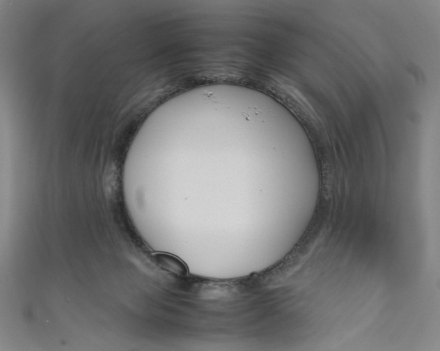 X0000111190077200907221118