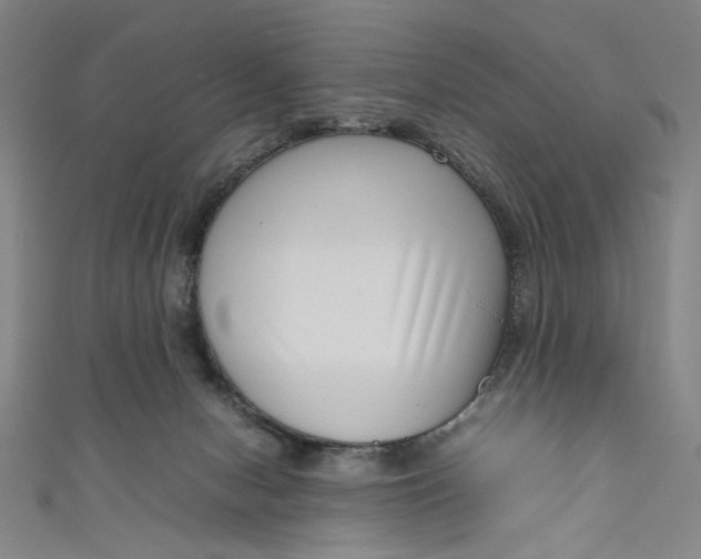 X0000111190078200907221118