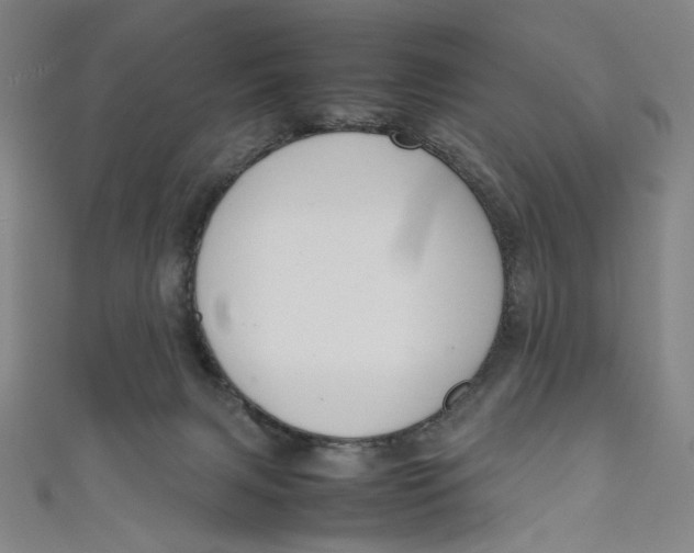 X0000111190079200907221118