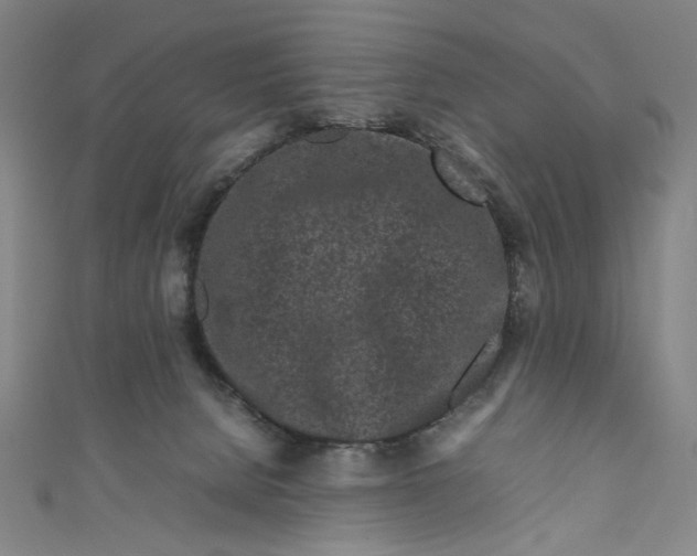 X0000111190080200907221118