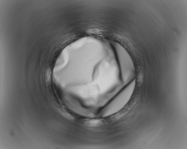 X0000111190081200907221118