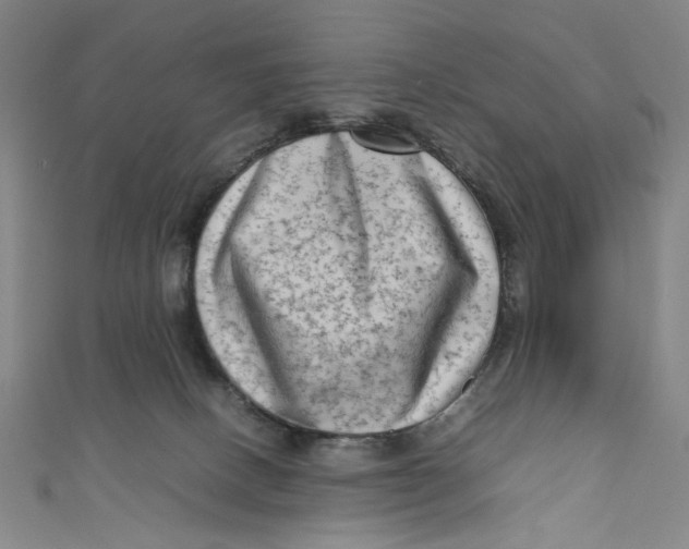 X0000111190082200907221118