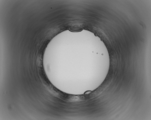 X0000111190083200907221118
