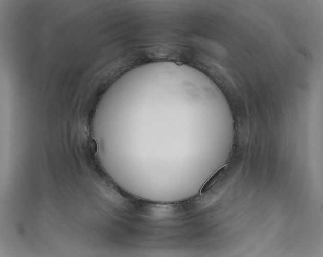 X0000111190085200907221118