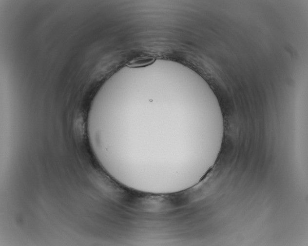 X0000111190086200907221118