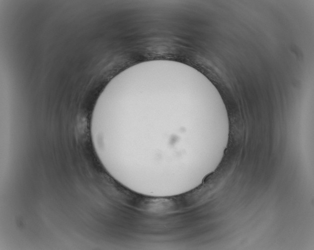 X0000111190087200907221118