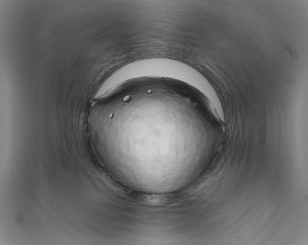 X0000111190088200907221118