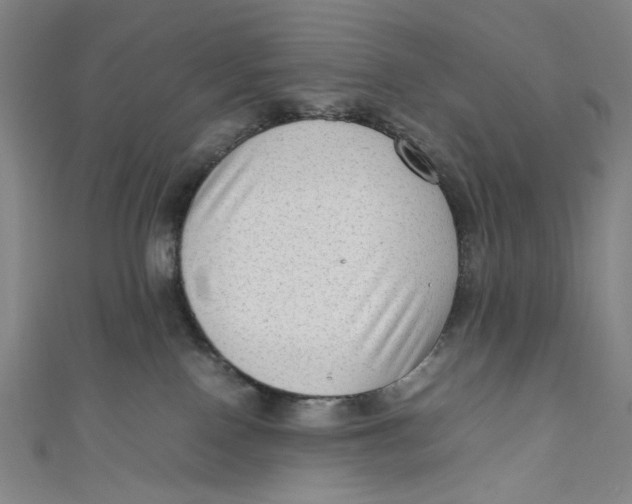 X0000111190090200907221118