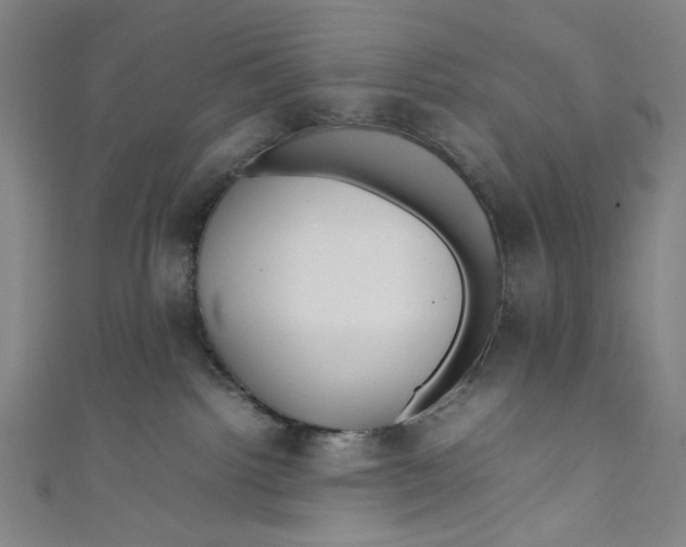 X0000111190092200907221118