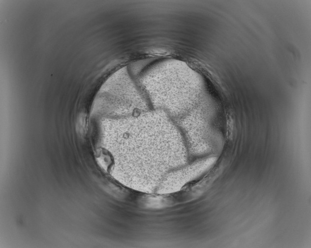 X0000111190093200907221118